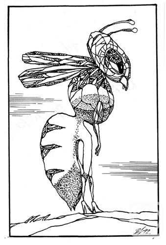 �������. ��������� ��������. � ���� �� ��������