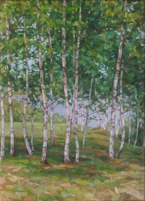 Birches. Zudov Andrey