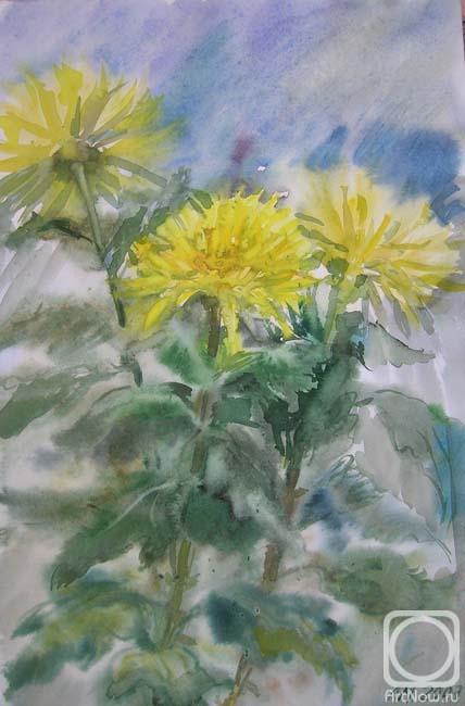 �������. ���������-������� �����. ����������-��������