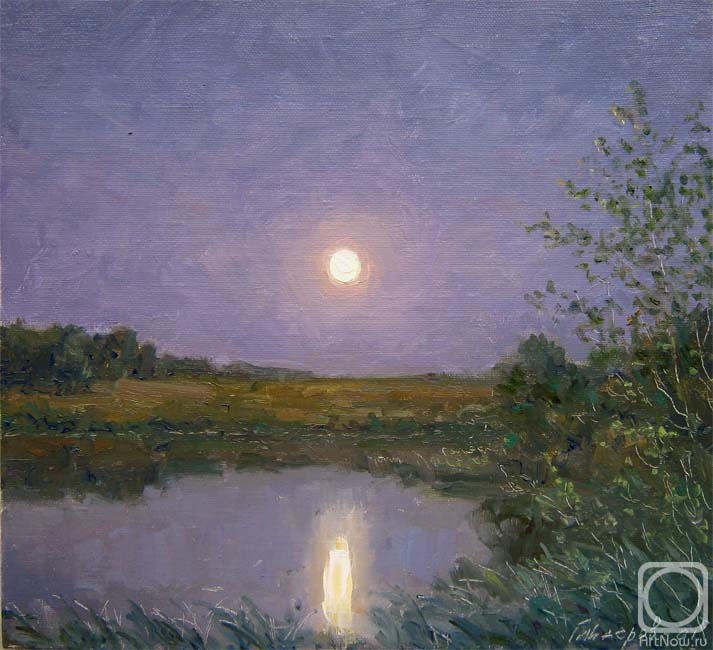 Gaiderov Michail. Moonlit night... By the River (etude)