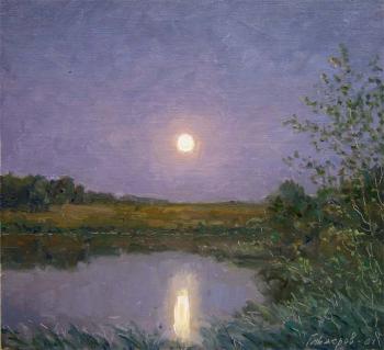 Moonlit night... By the River (etude). Gaiderov Michail