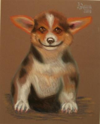 ����� �����-�����-��������. �������� ������