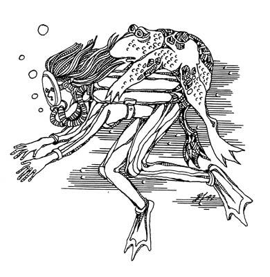 ����������. ��������� ��������