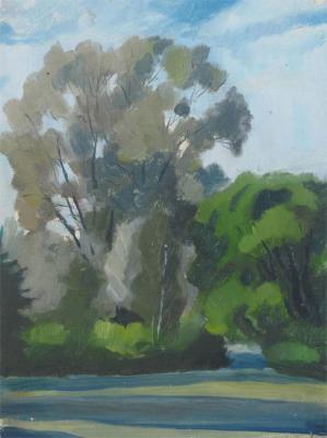 Linden trees by the pond. Lebedev Denis