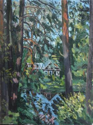 House in the forest and by the river. Lebedev Denis