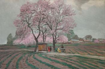 Peach blossoms. Petrov Vladimir