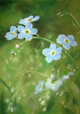 Blue flowers, forget-me-nots. Peschanaia Olga