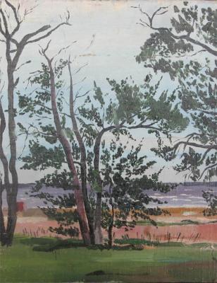 Trees on the shore of the Gulf of Finland. Lebedev Denis