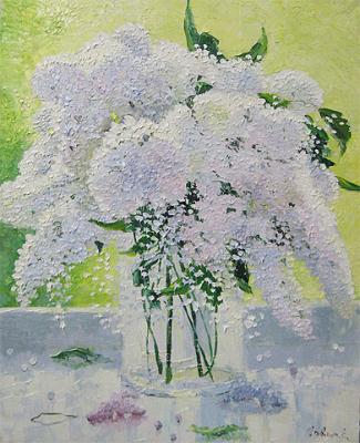 White lilac. Gavlin Evgeniy