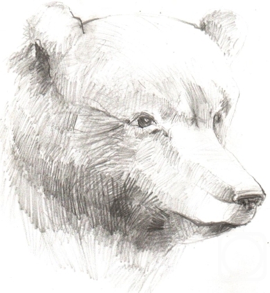 Baharev Pavel. Untitled