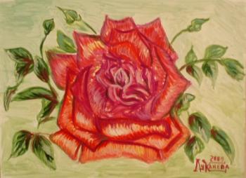 Red Rose. Lukaneva Larissa