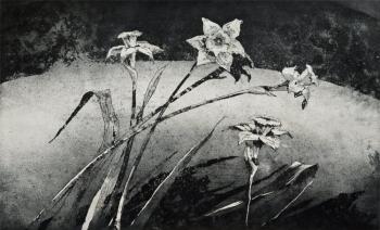 ������� ��������