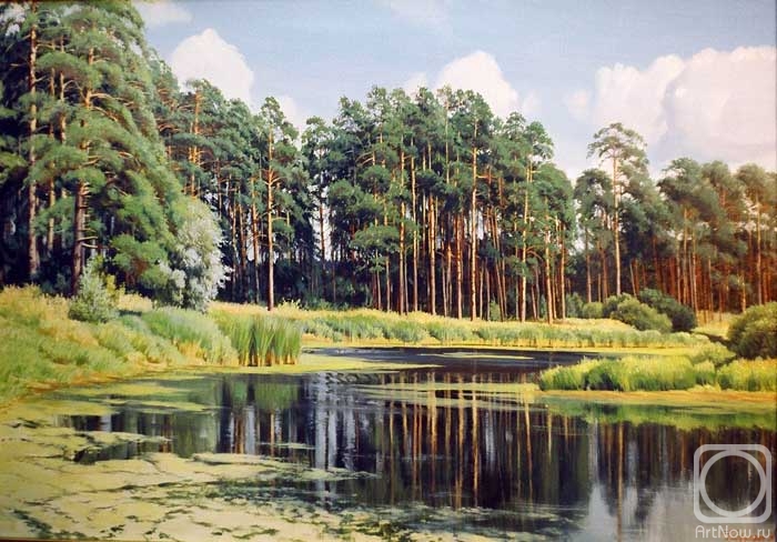 Gaifullin Airat. On Lake Lebyazhye