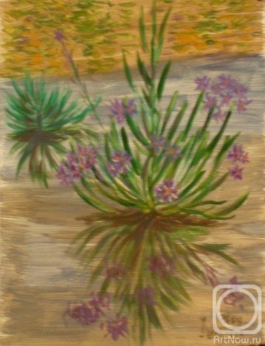 �������. �������� ������. ����� ������������