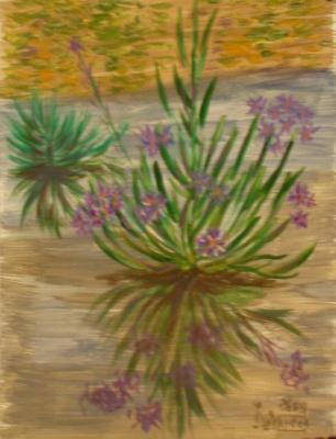 ������� ������ �������������