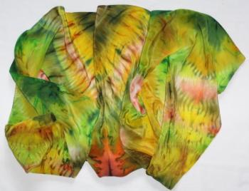 ���� "�����������" (���������). �������� �������