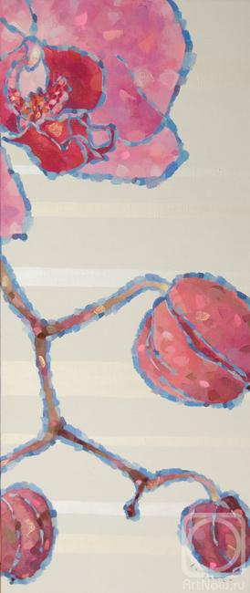 �������. ������������ ������. �������