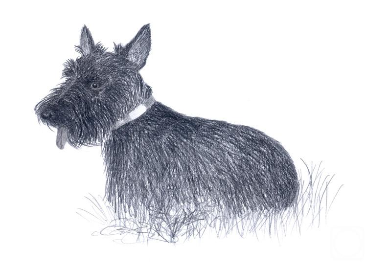 �������. ��������� ����. ������ ����