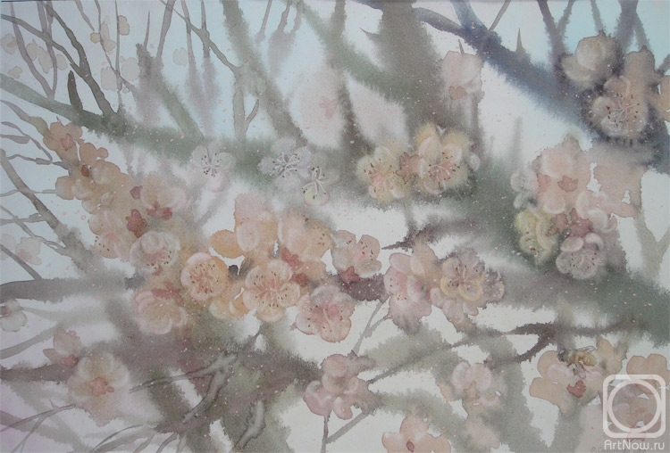 �������. �������� �����. �������� �����