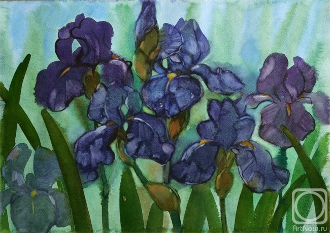 Simashova Olga. Irises