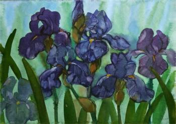 Irises. Simashova Olga