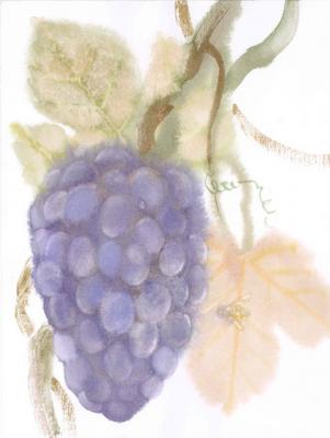 Grape. Simashova Olga