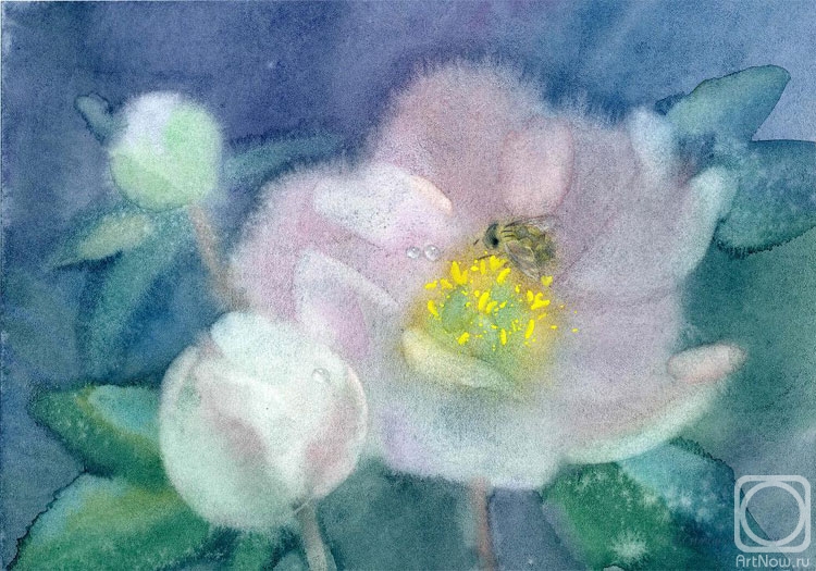 �������. �������� �����. ������ ����