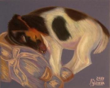 ��� �������. �������� ������