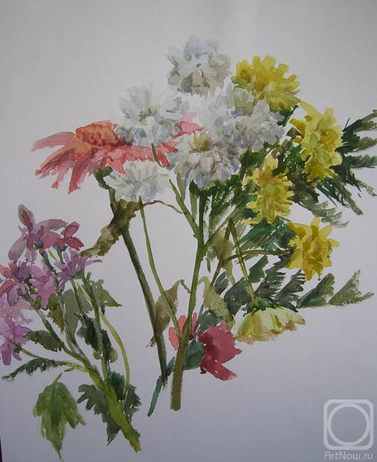 �������. ���������-������� �����. �������� (���������)