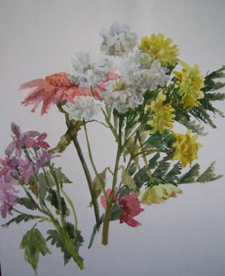 Flowers (sketches). Mustafina-Khazieva Lilia