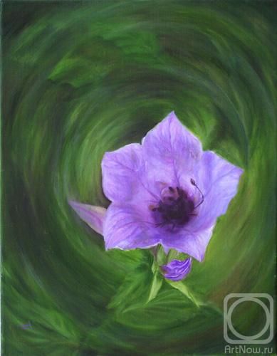 ������� ������ �� ������. ��������� ����. ����. ������ ������