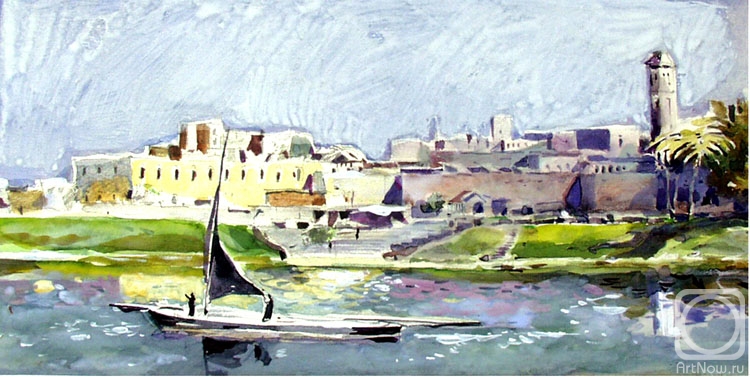 Vrublevski Yuri. The river Nile