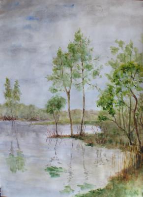 ������� ����