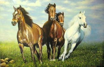 Horses. Gorlanov Mihail