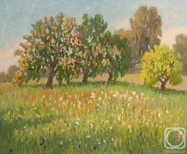 ������� ������ �� ������. �������� �������. ��������