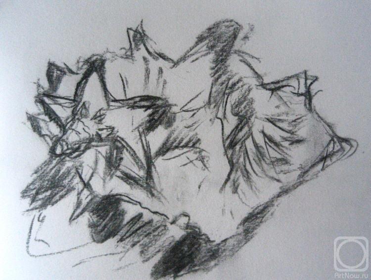 Kalmykova Olga. Untitled