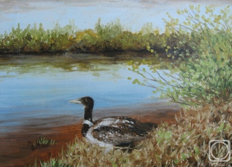 ������� ������ �� ������. ����� ����. ����