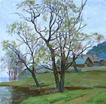 Trees in the spring. Panov Igor