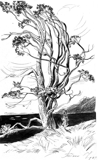 �������. ����������� ����. ����������� ��������� - 7 / 85