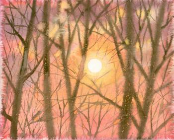 Sun through the trees. Simashova Olga