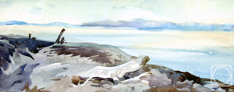 Vrublevski Yuri. On Angara