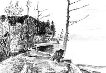 ������� ������������ ��������� - 10 / 63�