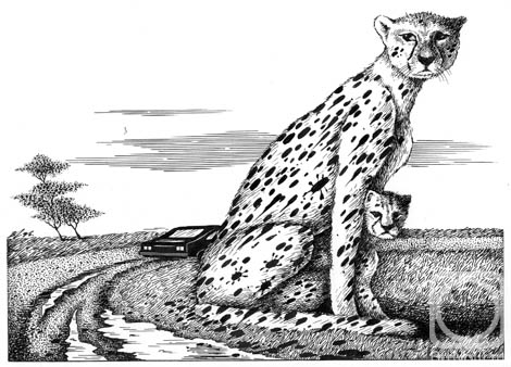 �������. ��������� ��������. ���������� ��������