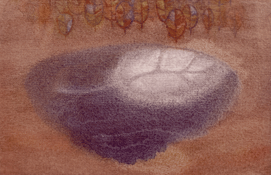 �������. ������� ��������. Lake