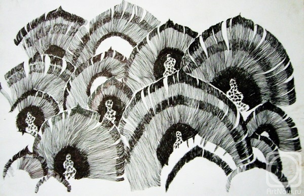 Andrushaeva Jolla. surface structure