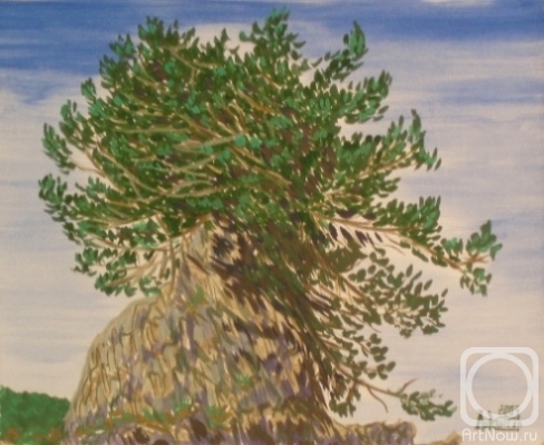 �������. �������� ������. ������ �����