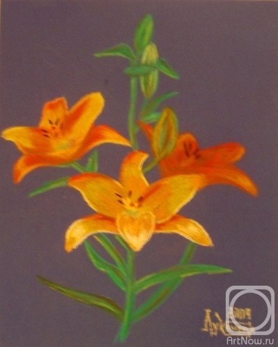 �������. �������� ������. Sole Mio