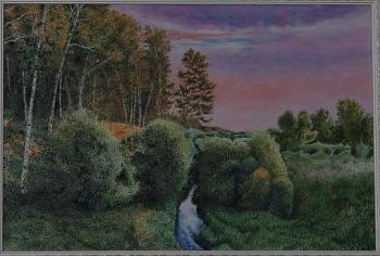 Edge of the forest. Summer