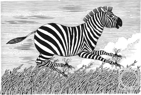 �������. ��������� ��������. ������� ��� ��������