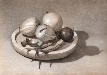 Still life with onion. Rustamian Julia